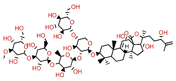 Kolgaoside A